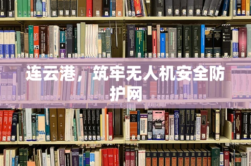 连云港，筑牢无人机安全防护网