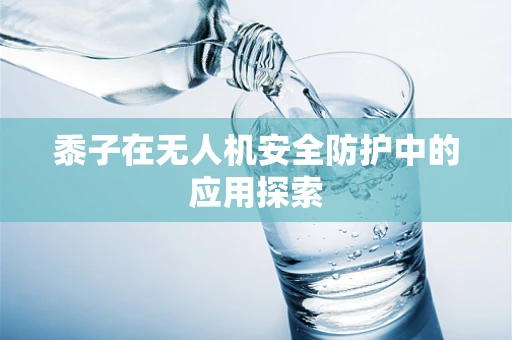 黍子在无人机安全防护中的应用探索