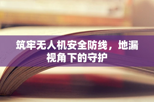 筑牢无人机安全防线，地漏视角下的守护