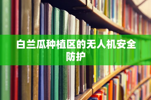 白兰瓜种植区的无人机安全防护