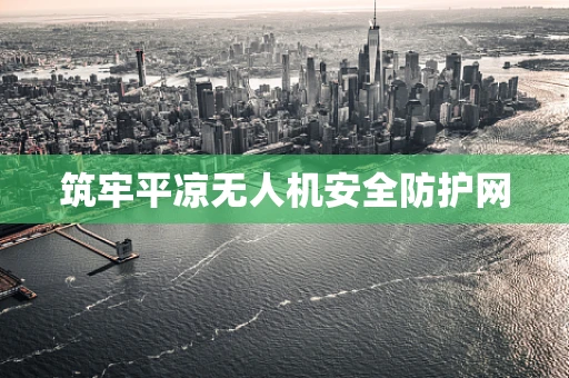 筑牢平凉无人机安全防护网