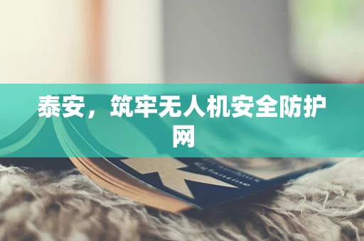 泰安，筑牢无人机安全防护网