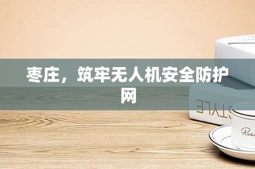 枣庄，筑牢无人机安全防护网