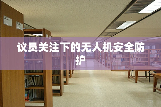 议员关注下的无人机安全防护