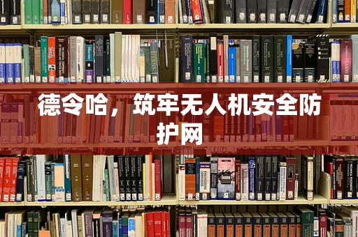 德令哈，筑牢无人机安全防护网