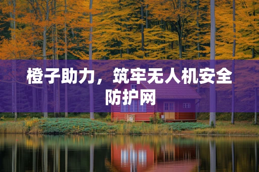 橙子助力，筑牢无人机安全防护网