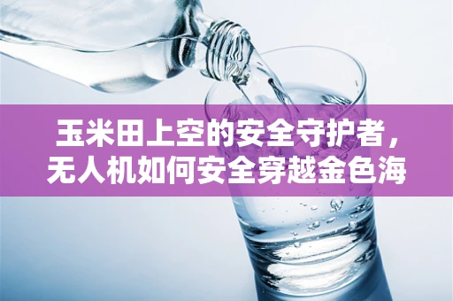 玉米田上空的安全守护者，无人机如何安全穿越金色海洋？