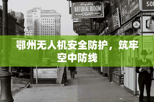 鄂州无人机安全防护，筑牢空中防线