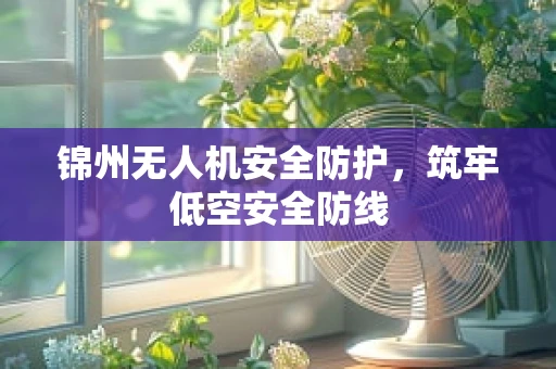 锦州无人机安全防护，筑牢低空安全防线