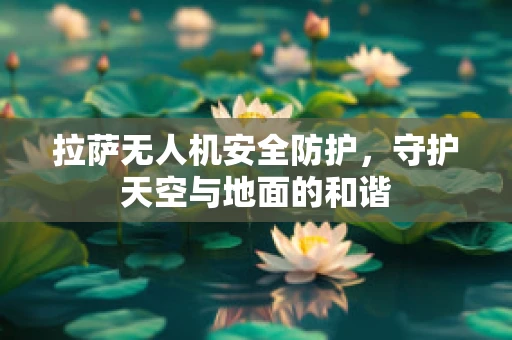 拉萨无人机安全防护，守护天空与地面的和谐