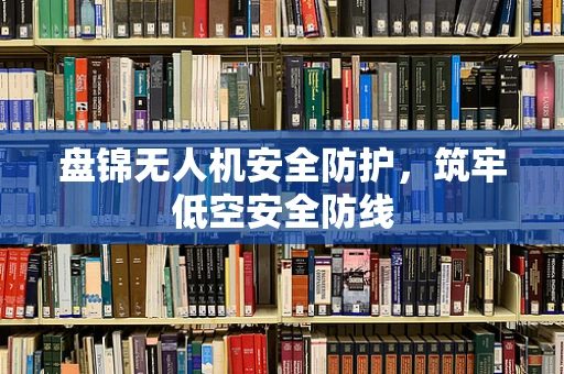 盘锦无人机安全防护，筑牢低空安全防线
