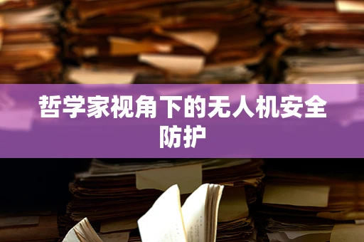 哲学家视角下的无人机安全防护