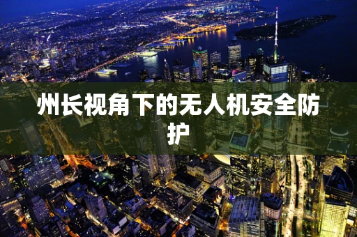 州长视角下的无人机安全防护