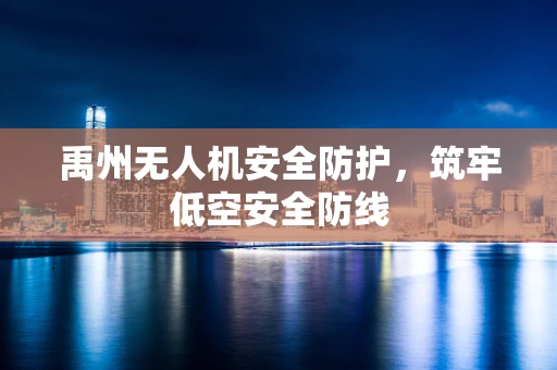 禹州无人机安全防护，筑牢低空安全防线