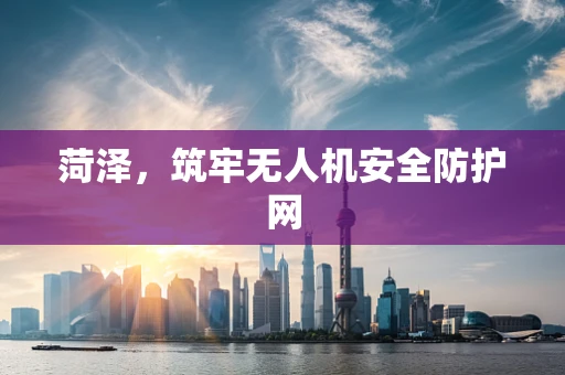 菏泽，筑牢无人机安全防护网