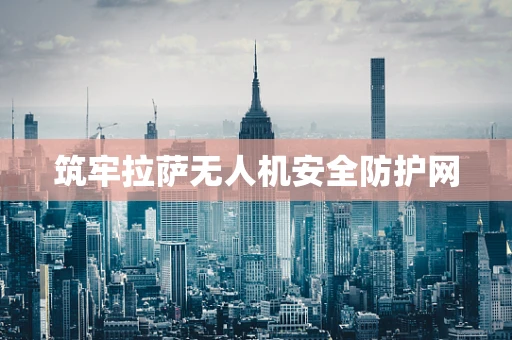 筑牢拉萨无人机安全防护网