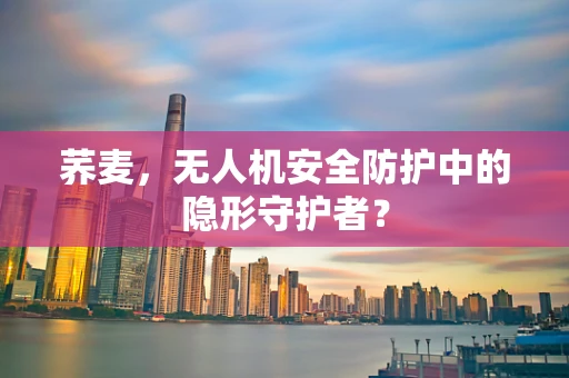 荞麦，无人机安全防护中的隐形守护者？
