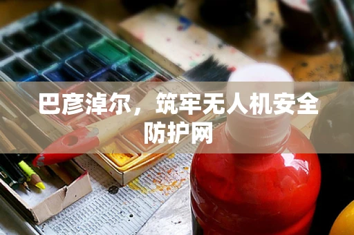 巴彦淖尔，筑牢无人机安全防护网