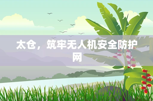 太仓，筑牢无人机安全防护网