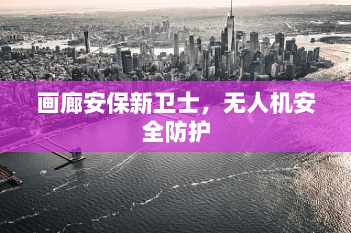 画廊安保新卫士，无人机安全防护