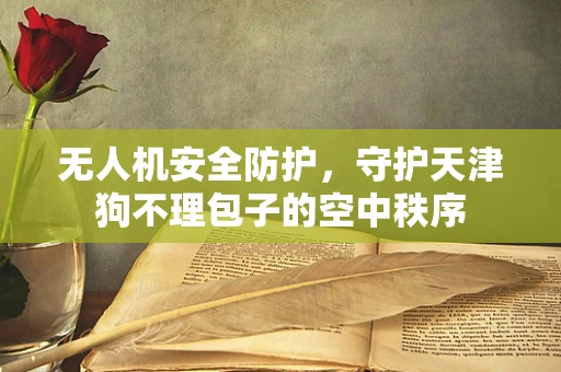 无人机安全防护，守护天津狗不理包子的空中秩序