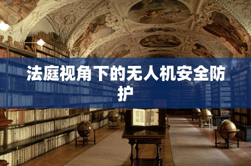 法庭视角下的无人机安全防护