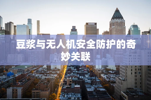 豆浆与无人机安全防护的奇妙关联