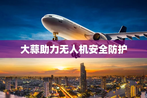 大蒜助力无人机安全防护