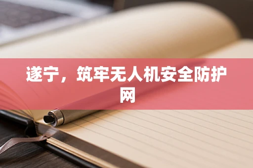 遂宁，筑牢无人机安全防护网