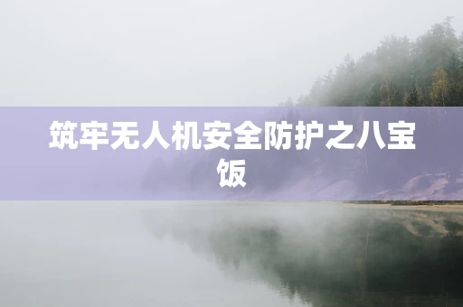 筑牢无人机安全防护之八宝饭