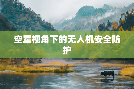 空军视角下的无人机安全防护