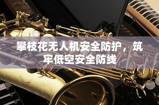 攀枝花无人机安全防护，筑牢低空安全防线