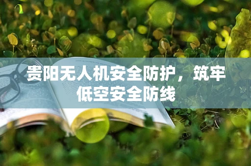 贵阳无人机安全防护，筑牢低空安全防线