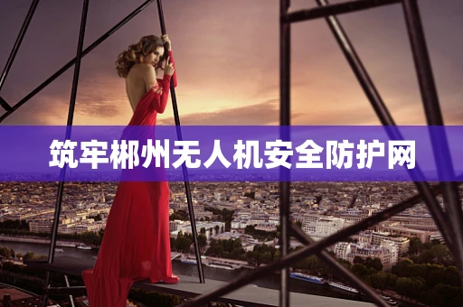 筑牢郴州无人机安全防护网
