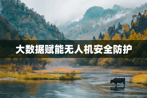 大数据赋能无人机安全防护