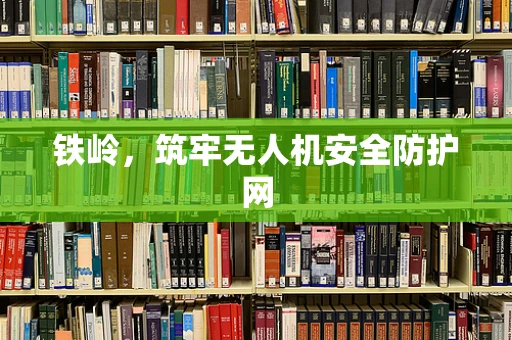 铁岭，筑牢无人机安全防护网