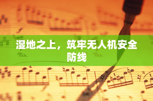 湿地之上，筑牢无人机安全防线