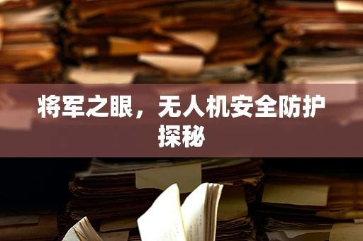 将军之眼，无人机安全防护探秘