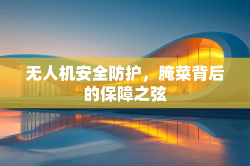 无人机安全防护，腌菜背后的保障之弦