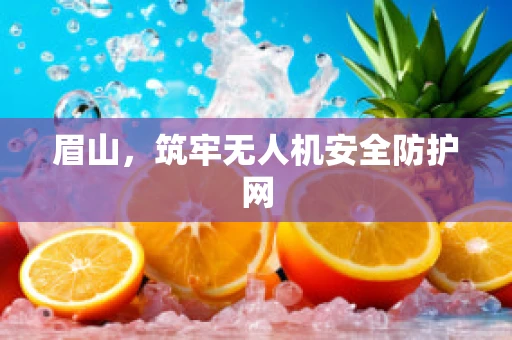 眉山，筑牢无人机安全防护网