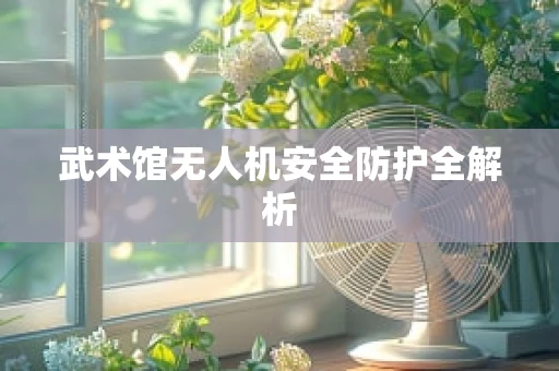 武术馆无人机安全防护全解析