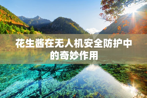 花生酱在无人机安全防护中的奇妙作用
