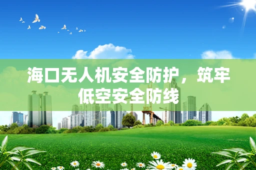 海口无人机安全防护，筑牢低空安全防线