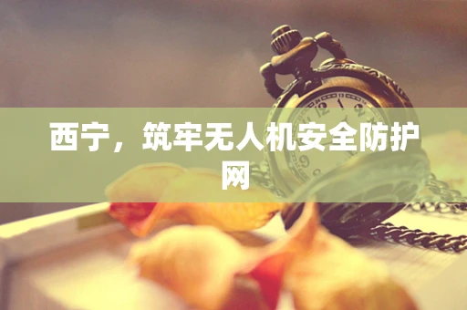 西宁，筑牢无人机安全防护网