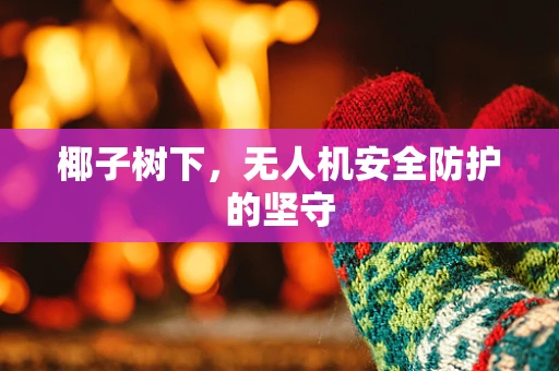 椰子树下，无人机安全防护的坚守