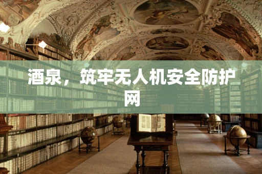 酒泉，筑牢无人机安全防护网