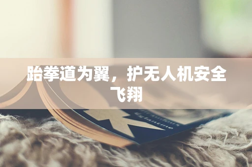 跆拳道为翼，护无人机安全飞翔