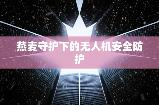 燕麦守护下的无人机安全防护