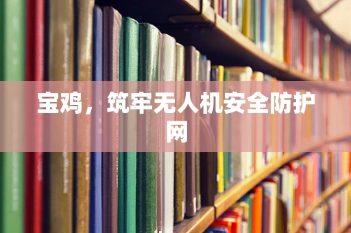 宝鸡，筑牢无人机安全防护网