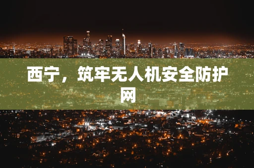 西宁，筑牢无人机安全防护网